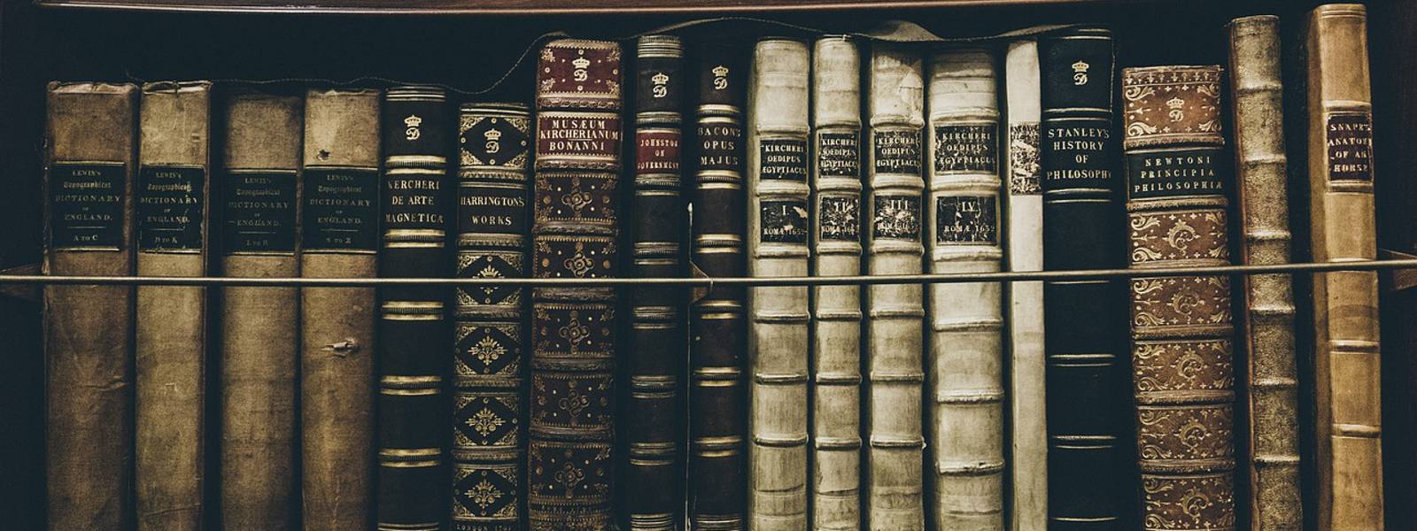 A vintage bookshelf filled with ornate leather-bound books in various colours.