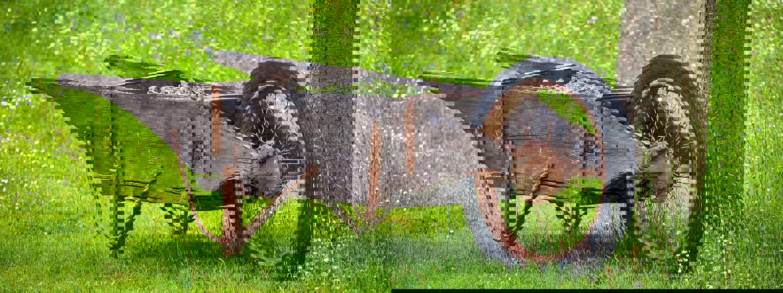 A wooden wheelbarrow resting on grass near a tree, filled with green foliage.
