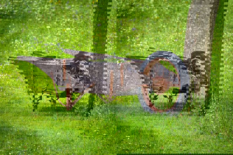 A wooden wheelbarrow resting on grass near a tree, filled with green foliage.